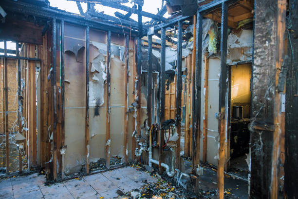 Professional Fire Damage Repair technician working in Bellair-Meadowbrook Terrace, FL